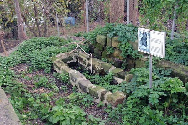 Giresun Adası’nda kazılar yeniden başlayacak 12
