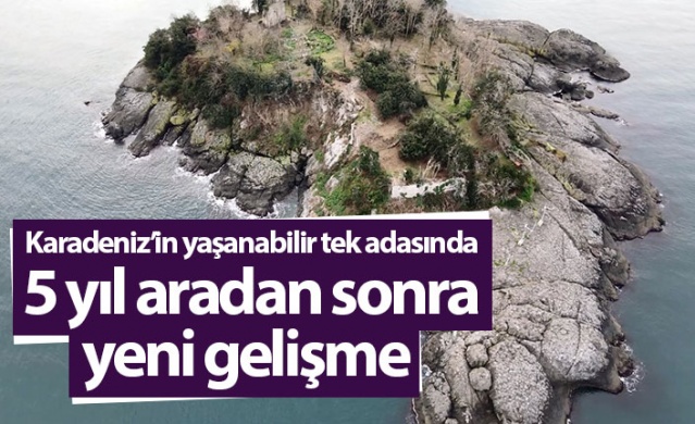 Giresun Adası’nda kazılar yeniden başlayacak 1