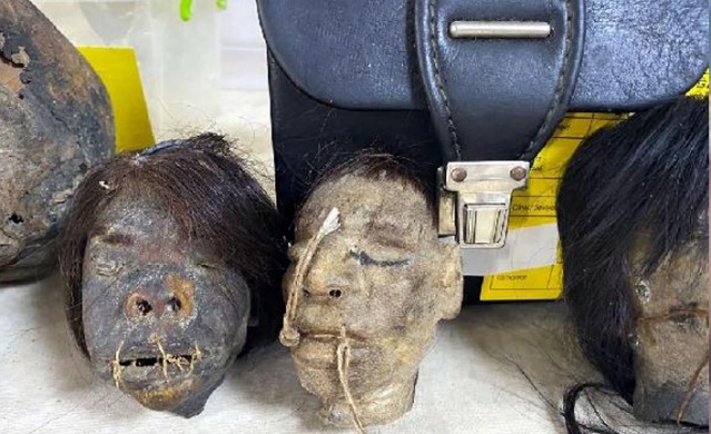 Tarihi eser operasyonunda kesik insan başları (Tsantsa)  yakalandı. 14 Aralık 2012 2