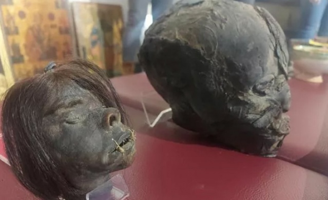 Tarihi eser operasyonunda kesik insan başları (Tsantsa)  yakalandı. 14 Aralık 2012 4