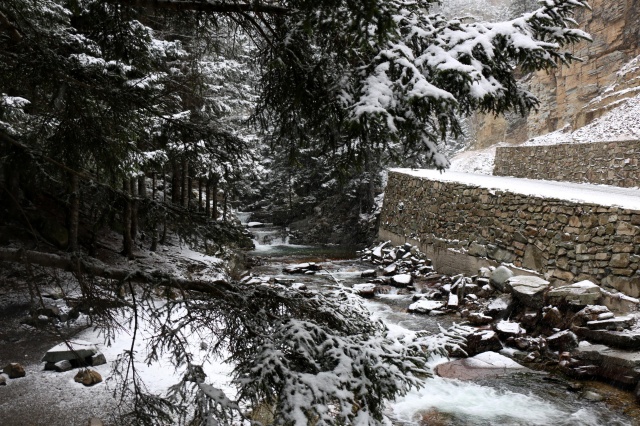 Trabzon'da kar güzelliği 4