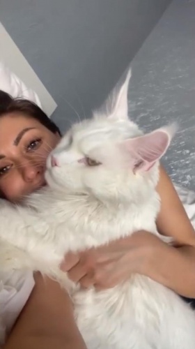 Bu kedi büyüklüğü ile hayran bırakıyor 2