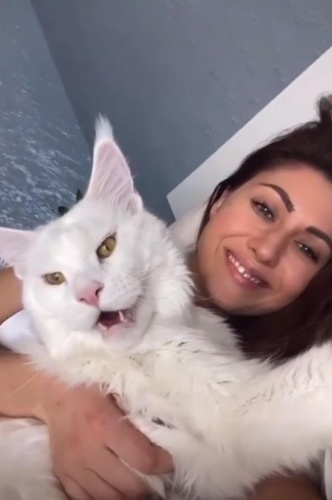 Bu kedi büyüklüğü ile hayran bırakıyor 9