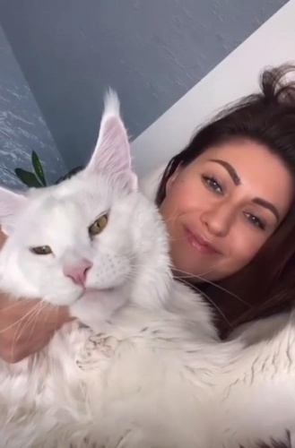 Bu kedi büyüklüğü ile hayran bırakıyor 4