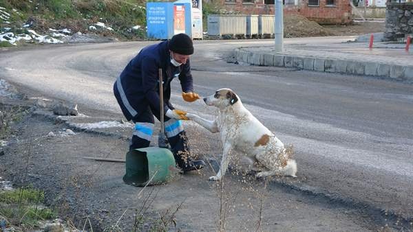Trabzon'da temizliğe her sabah birlikte başlayıp birlikte bitiriyorlar. Foto Galeri 7