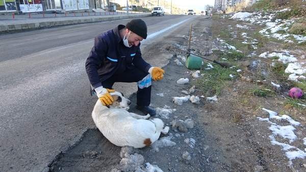 Trabzon'da temizliğe her sabah birlikte başlayıp birlikte bitiriyorlar. Foto Galeri 10