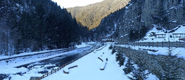 Uzungöl buz tuttu. 23 Ocak 2000-Foto Galeri 3