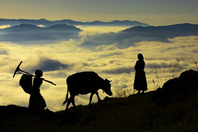 Trabzon'da en iyi fotoğraf ödülleri sahiplerini buldu. Foto Haber 12