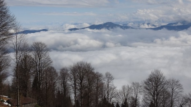 Trabzon yaylalarından büyüleyen manzaralar. Foto Galeri 19