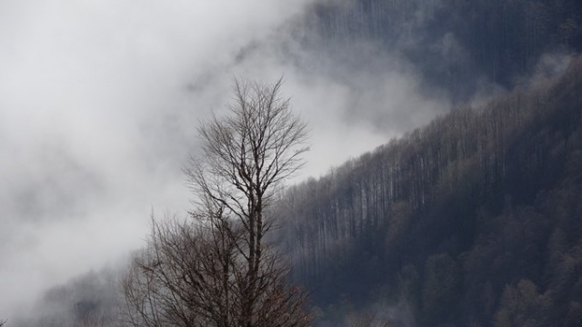 Trabzon yaylalarından büyüleyen manzaralar. Foto Galeri 11