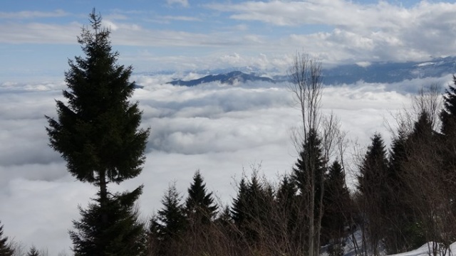 Trabzon yaylalarından büyüleyen manzaralar. Foto Galeri 12
