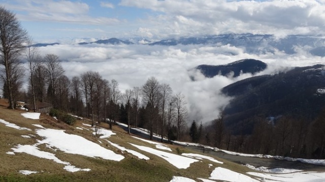 Trabzon yaylalarından büyüleyen manzaralar. Foto Galeri 20