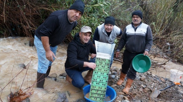 Buz gibi havada altın avı. Foto Galeri 4