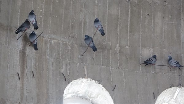 Trabzon'da 17 yıldır bitmeyen cami! Muhtar isyan etti. Foto Haber 4