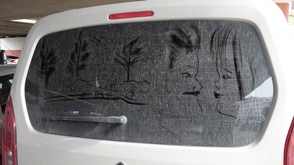 Trabzon'da resim tutkusunu araçların tozlu camlarına yansıtıyor. Foto Haber 15