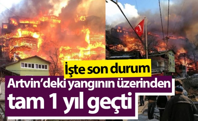 Artvin’in Dereiçi köyünde çıkan yangının üzerinden tam bir yıl geçti. Foto Haber 1
