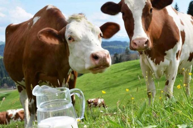 Süte büyük zam! 18 Mart 2022 Foto Haber 6