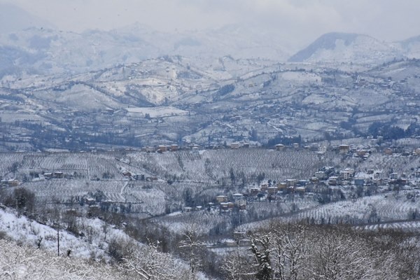 Orta ve Doğu Karadeniz'de kar esareti. Foto Haber 2