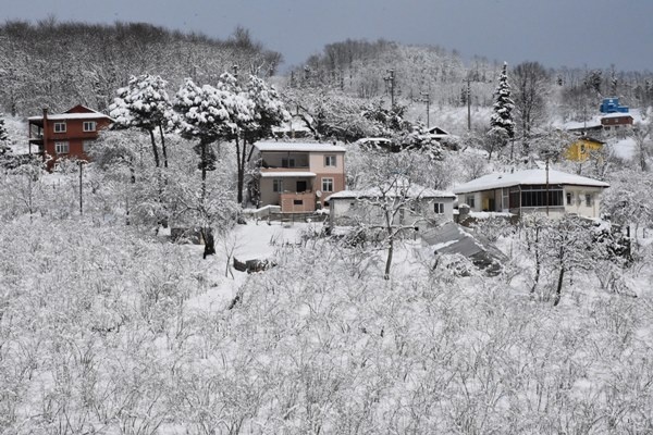 Orta ve Doğu Karadeniz'de kar esareti. Foto Haber 10