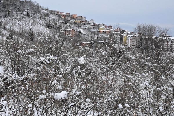 Orta ve Doğu Karadeniz'de kar esareti. Foto Haber 17