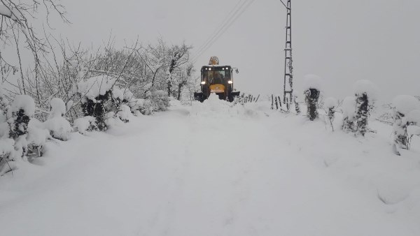 Orta ve Doğu Karadeniz'de kar esareti. Foto Haber 4