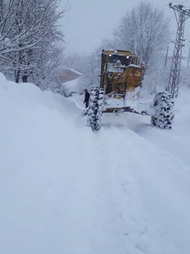 Orta ve Doğu Karadeniz'de kar esareti. Foto Haber 22