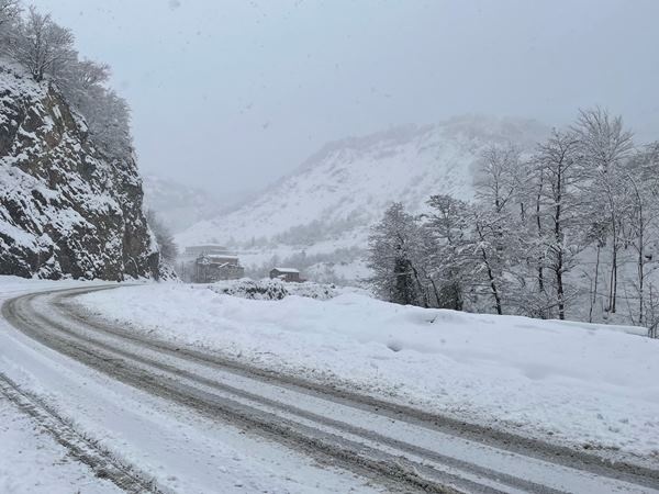 Orta ve Doğu Karadeniz'de kar esareti. Foto Haber 46