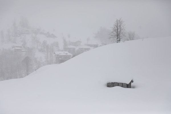 Orta ve Doğu Karadeniz'de kar esareti. Foto Haber 5