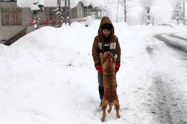 Orta ve Doğu Karadeniz'de kar esareti. Foto Haber 26