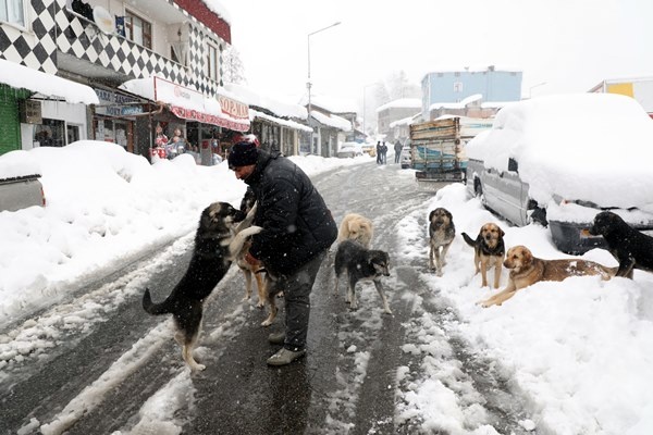 Orta ve Doğu Karadeniz'de kar esareti. Foto Haber 16