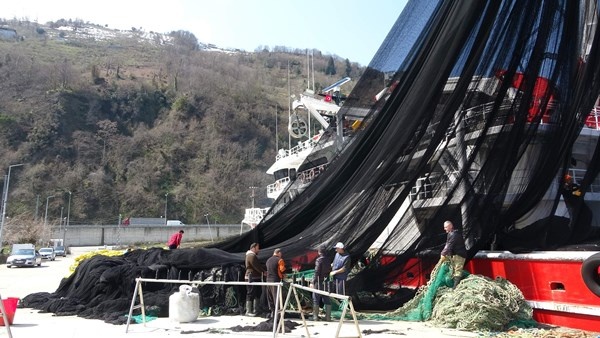 Trabzon'da balıkçılardan erken paydos. Foto Haber 12