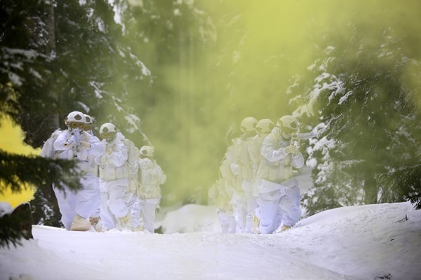 Doğu Karadeniz yaylalarının güvenliği komandolara emanet. Foto Haber 10