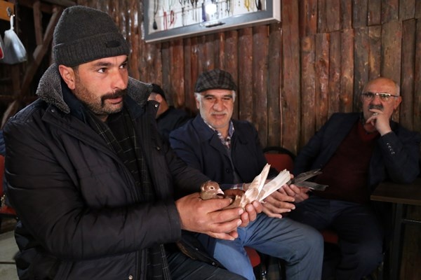 Sahibinin ömrünü uzatan güvercin: Kelkit Tepelisi. Foto Haber 12