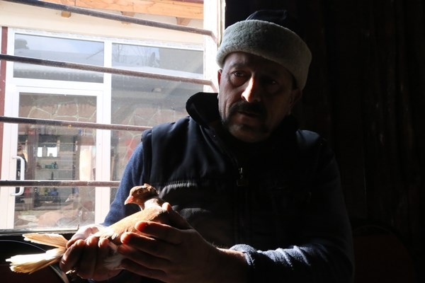 Sahibinin ömrünü uzatan güvercin: Kelkit Tepelisi. Foto Haber 5
