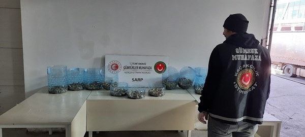 Sarp Sınır Kapısı’nda bin 100 adet su kaplumbağası ele geçirildi. Foto haber 3