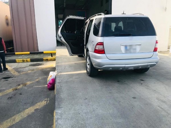 Sarp Sınır Kapısı’nda bin 100 adet su kaplumbağası ele geçirildi. Foto haber 7