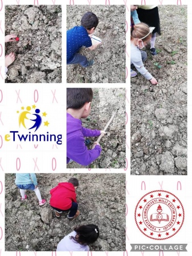 Akyazılı miniklerin çevre bilinci ve doğa sevgisi… 5