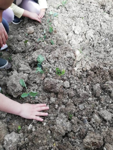 Akyazılı miniklerin çevre bilinci ve doğa sevgisi… 2