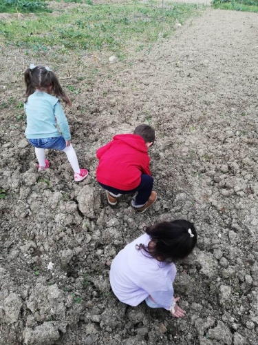 Akyazılı miniklerin çevre bilinci ve doğa sevgisi… 6