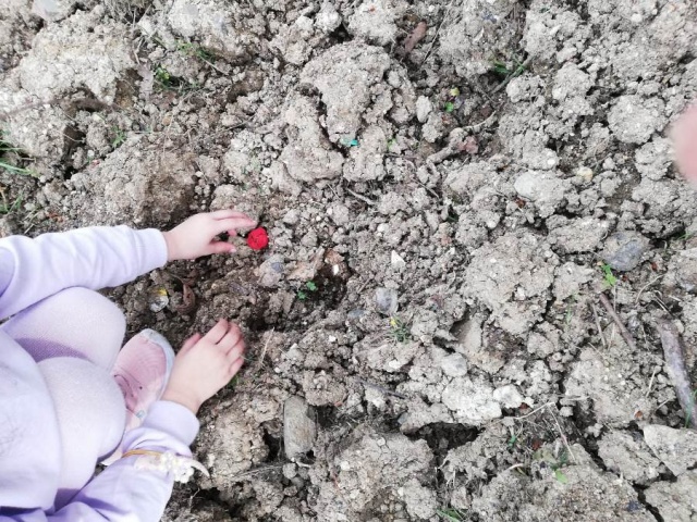 Akyazılı miniklerin çevre bilinci ve doğa sevgisi… 7