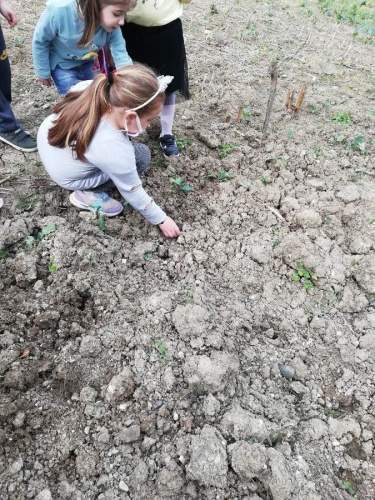 Akyazılı miniklerin çevre bilinci ve doğa sevgisi… 4