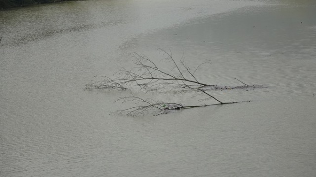 Sera Gölü, “Çamur Göl” oldu. Foto Galeri 18