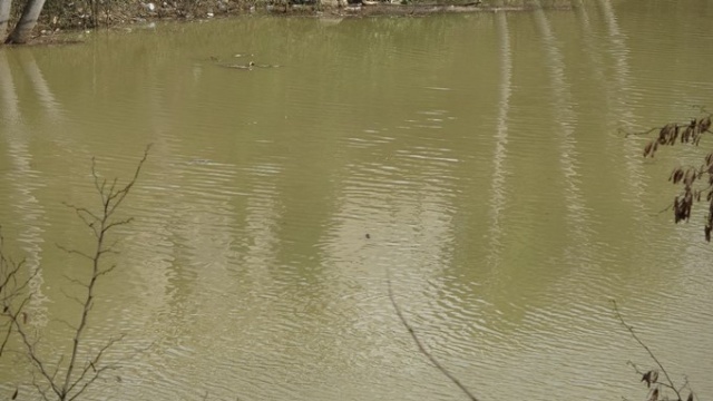 Sera Gölü, “Çamur Göl” oldu. Foto Galeri 11