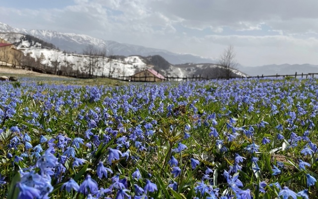 Mavi yıldızlar yeniden açtı. Foto Galeri 5