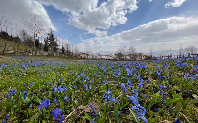 Mavi yıldızlar yeniden açtı. Foto Galeri 7