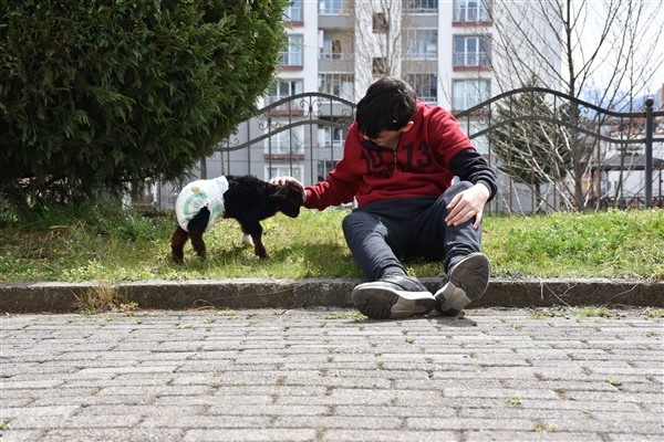Trabzon'da annesinin kabul etmediği kuzuyu evde bakıyorlar. Foto Haber 10