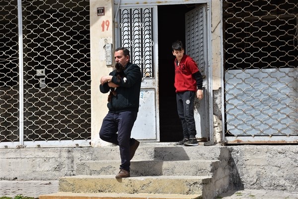 Trabzon'da annesinin kabul etmediği kuzuyu evde bakıyorlar. Foto Haber 8
