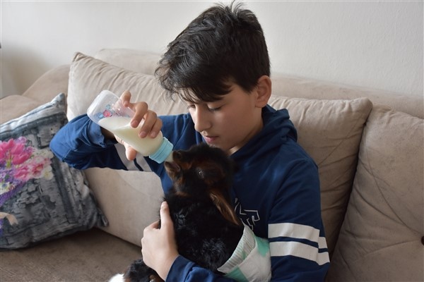 Trabzon'da annesinin kabul etmediği kuzuyu evde bakıyorlar. Foto Haber 6