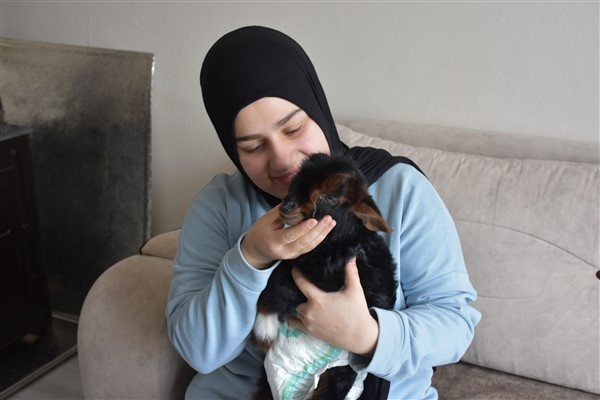 Trabzon'da annesinin kabul etmediği kuzuyu evde bakıyorlar. Foto Haber 12