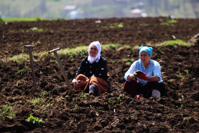 Şartlar zor olsa da Karadeniz kadını çalışmadan duramıyor. Foto Galeri 18